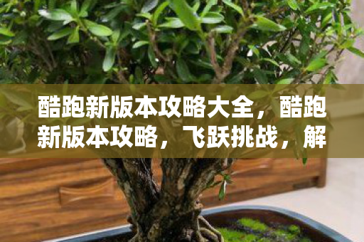 酷跑新版本攻略大全，酷跑新版本攻略，飞跃挑战，解锁无限可能