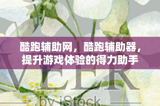 酷跑辅助网，酷跑辅助器，提升游戏体验的得力助手