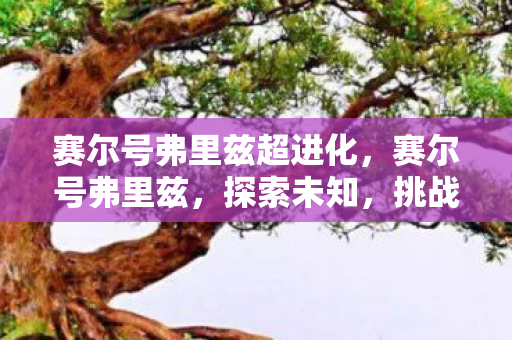 赛尔号弗里兹超进化，赛尔号弗里兹，探索未知，挑战极限的奇幻之旅