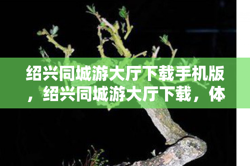 绍兴同城游大厅下载手机版，绍兴同城游大厅下载，体验正宗绍兴麻将的乐趣