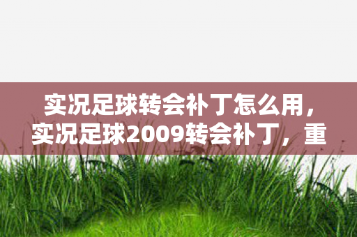 实况足球转会补丁怎么用，实况足球2009转会补丁，重温经典，打造梦幻阵容