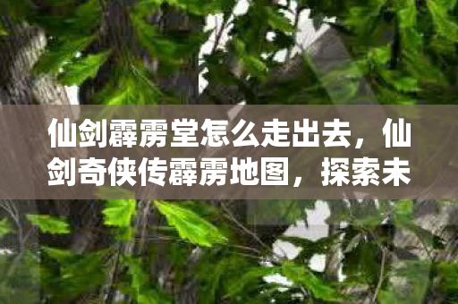 仙剑霹雳堂怎么走出去，仙剑奇侠传霹雳地图，探索未知世界的奇幻之旅