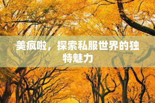 美疯啦，探索私服世界的独特魅力