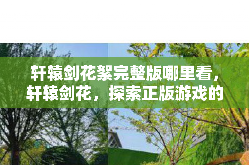 轩辕剑花絮完整版哪里看，轩辕剑花，探索正版游戏的魅力与乐趣