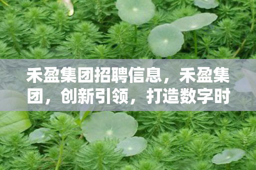 禾盈集团招聘信息，禾盈集团，创新引领，打造数字时代新标杆