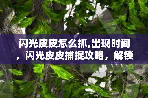 闪光皮皮怎么抓,出现时间，闪光皮皮捕捉攻略，解锁你的宠物收集之旅
