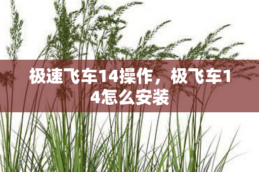 极速飞车14操作，极飞车14怎么安装