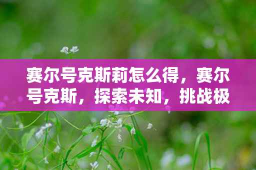 赛尔号克斯莉怎么得，赛尔号克斯，探索未知，挑战极限的奇幻之旅