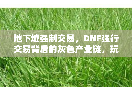 地下城强制交易，DNF强行交易背后的灰色产业链，玩家权益与游戏生态的博弈