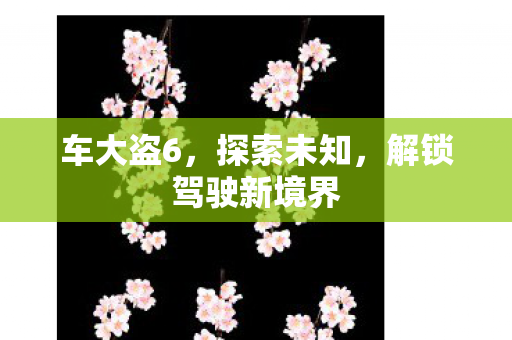 车大盗6，探索未知，解锁驾驶新境界