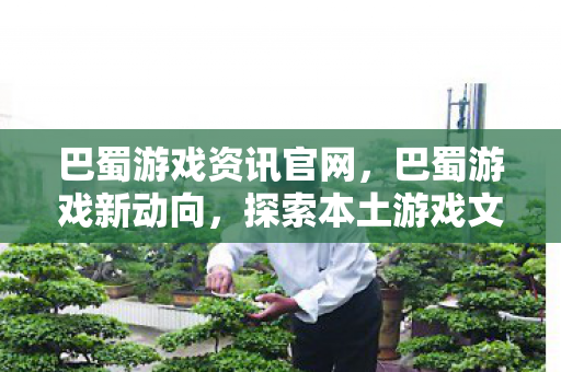 巴蜀游戏资讯官网，巴蜀游戏新动向，探索本土游戏文化的魅力