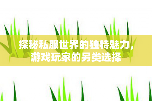 探秘私服世界的独特魅力，游戏玩家的另类选择