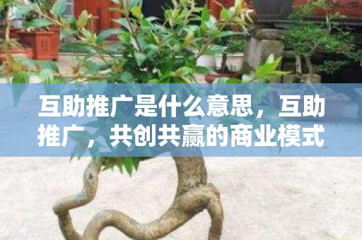 互助推广是什么意思，互助推广，共创共赢的商业模式