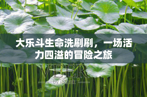 大乐斗生命洗刷刷，一场活力四溢的冒险之旅