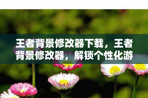 王者背景修改器下载，王者背景修改器，解锁个性化游戏体验的新篇章