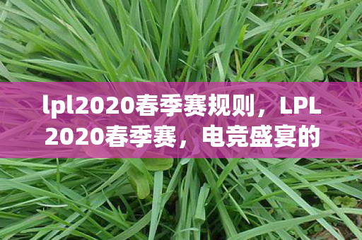 lpl2020春季赛规则，LPL2020春季赛，电竞盛宴的激情与荣耀