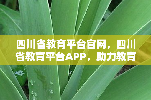 四川省教育平台官网，四川省教育平台APP，助力教育数字化转型的利器