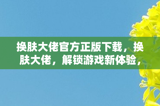 换肤大佬官方正版下载，换肤大佬，解锁游戏新体验，但需谨慎操作