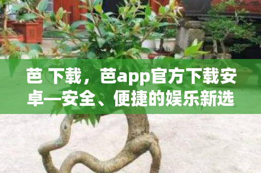 芭 下载，芭app官方下载安卓—安全、便捷的娱乐新选择