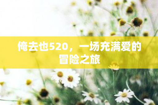 俺去也520，一场充满爱的冒险之旅