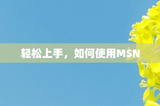 轻松上手，如何使用MSN