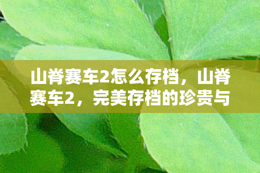 山脊赛车2怎么存档，山脊赛车2，完美存档的珍贵与分享