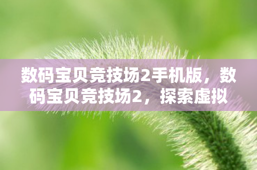 数码宝贝竞技场2手机版，数码宝贝竞技场2，探索虚拟世界的无限可能