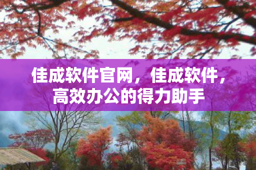 佳成软件官网，佳成软件，高效办公的得力助手