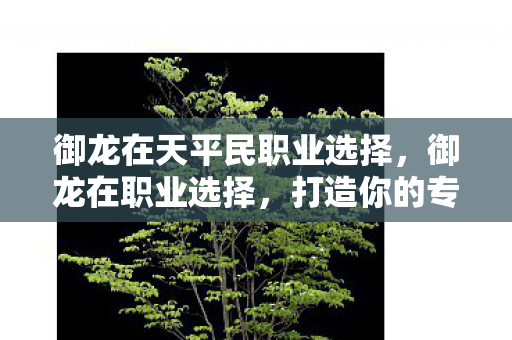 御龙在天平民职业选择，御龙在职业选择，打造你的专属传奇