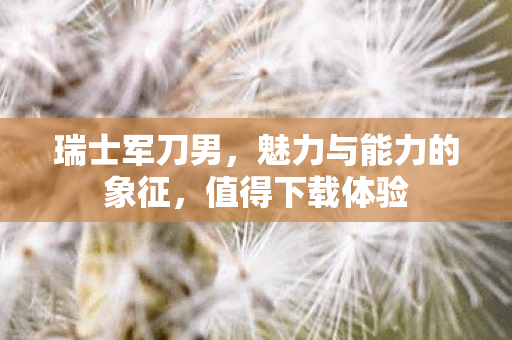 瑞士军刀男，魅力与能力的象征，值得下载体验