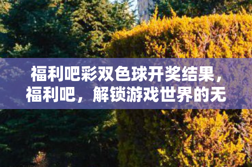 福利吧彩双色球开奖结果，福利吧，解锁游戏世界的无限可能