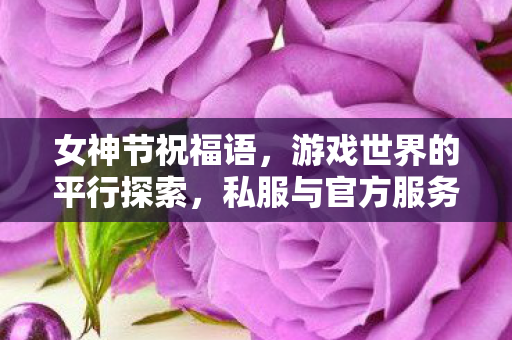 女神节祝福语，游戏世界的平行探索，私服与官方服务器的独特魅力