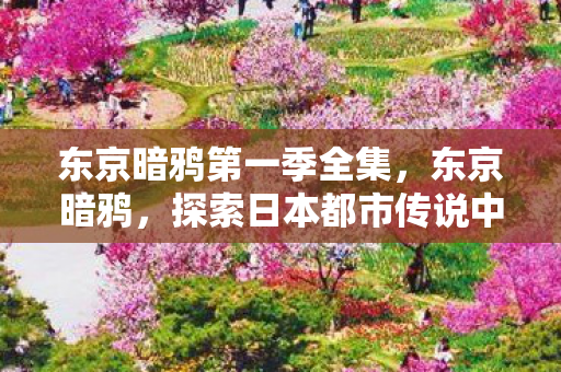 东京暗鸦第一季全集，东京暗鸦，探索日本都市传说中的神秘世界