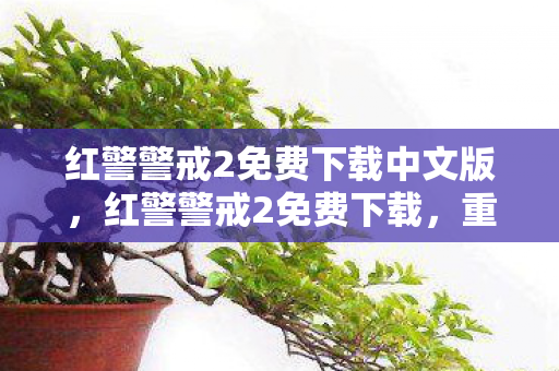 红警警戒2免费下载中文版，红警警戒2免费下载，重温经典战场的便捷途径