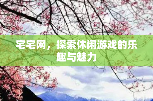 宅宅网，探索休闲游戏的乐趣与魅力