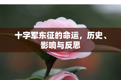 十字军东征的命运，历史、影响与反思