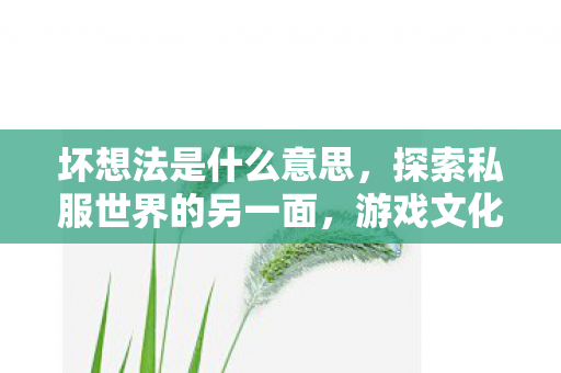 坏想法是什么意思，探索私服世界的另一面，游戏文化的另类诠释