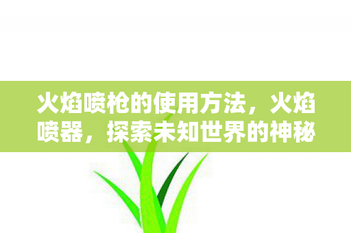 火焰喷枪的使用方法，火焰喷器，探索未知世界的神秘工具