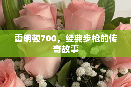 雷明顿700，经典步枪的传奇故事