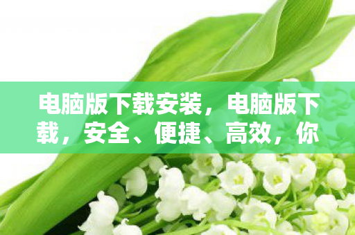 电脑版下载安装，电脑版下载，安全、便捷、高效，你的首选！