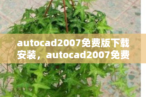 autocad2007免费版下载安装，autocad2007免费版，经典设计工具，免费体验