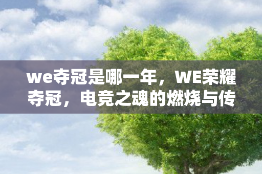 we夺冠是哪一年，WE荣耀夺冠，电竞之魂的燃烧与传承