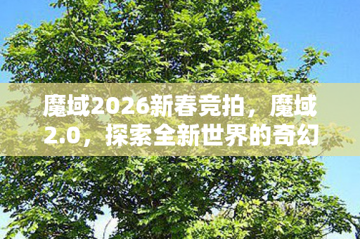 魔域2026新春竞拍，魔域2.0，探索全新世界的奇幻之旅