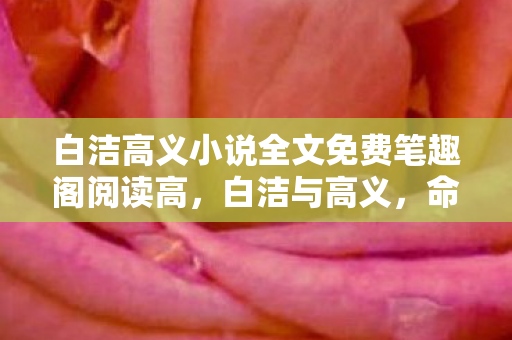 白洁高义小说全文免费笔趣阁阅读高，白洁与高义，命运的交响曲