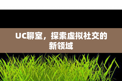UC聊室，探索虚拟社交的新领域