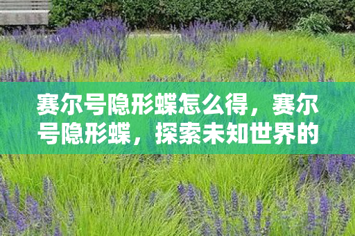 赛尔号隐形蝶怎么得，赛尔号隐形蝶，探索未知世界的神秘精灵