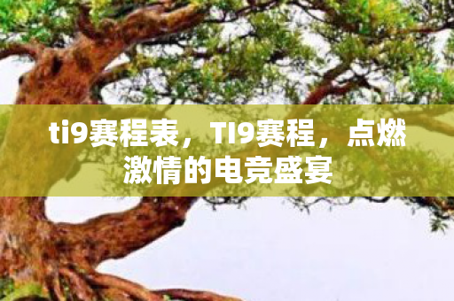 ti9赛程表，TI9赛程，点燃激情的电竞盛宴