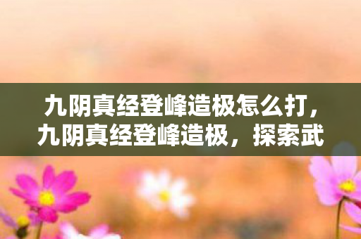 九阴真经登峰造极怎么打，九阴真经登峰造极，探索武侠世界的极致境界