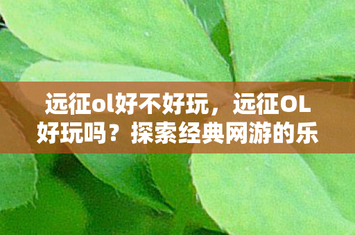 远征ol好不好玩，远征OL好玩吗？探索经典网游的乐趣与魅力