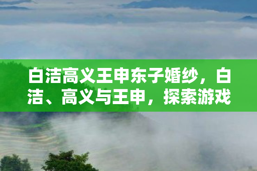白洁高义王申东子婚纱，白洁、高义与王申，探索游戏世界的多元维度